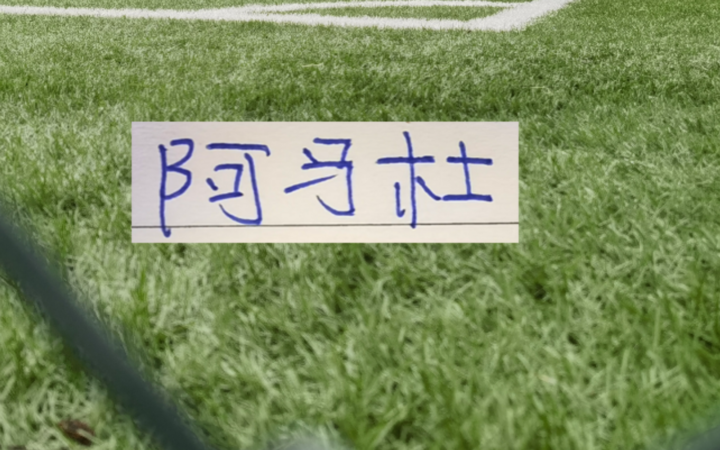 九游娱乐-第一轮外援中场大腿 没想到前申花外援阿马杜回春了！